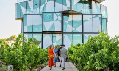 d’Areberg Cube Entry and Hosted Premium Wine Tasting