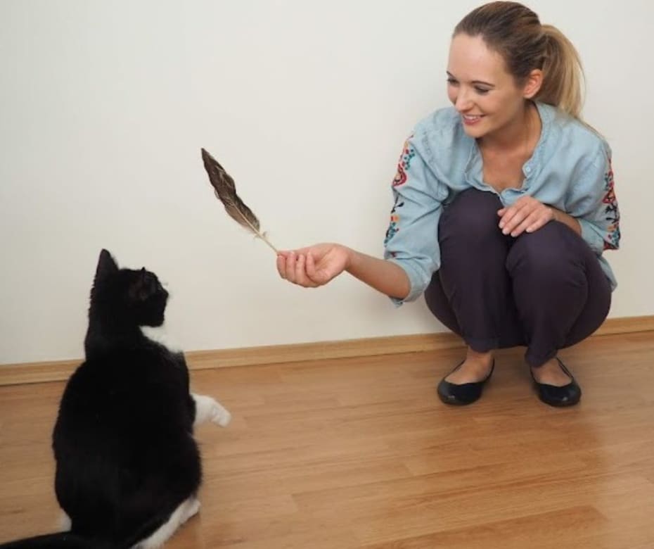 Xr:d:dafsq72yxle:5,j:2948006468109448561,t:23082211