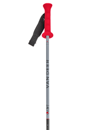 VAN DEER-Red Bull Sports | RACE GS CARBON (V25ZU070.115) | Poles