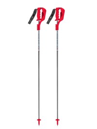 VAN DEER-Red Bull Sports | RACE SL CARBON (V25ZU069.115) | Poles