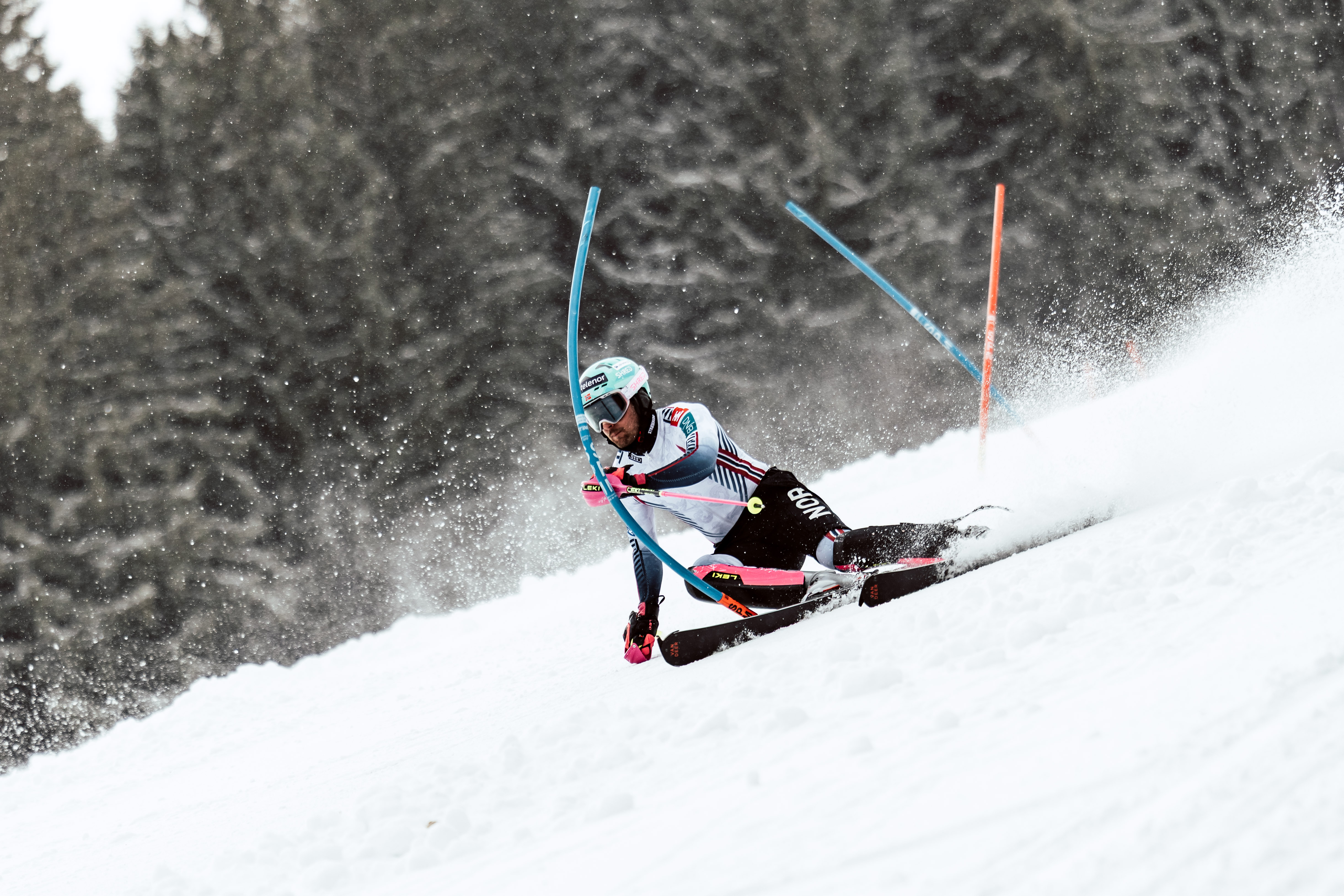 vandeer-redbull-sports.com