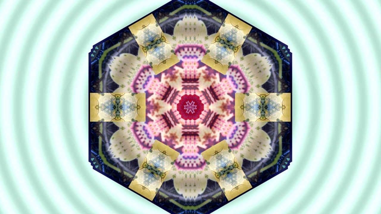 Tarotlinjen