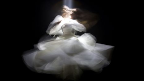 Lélekcsoportok és közös inkarnációk