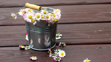 Megcsalt a párom a szomszéddal