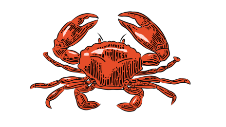 Milyen a RÁK jegyű gyermek az iskolában ha rosszalkodik