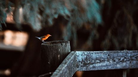 A kis jelek spirituális szerepe