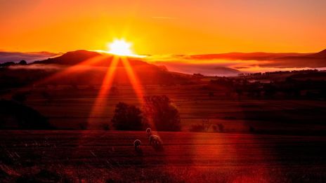 Új kezdetek pirkadata