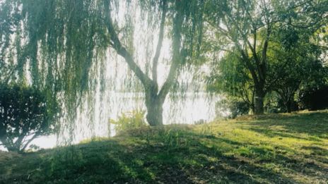 Sexlinka a dôverný rozhovor