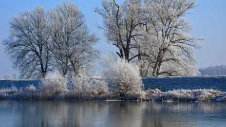 Ritualene ved årsskiftet