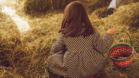 Hva vi søker og hva vi finner