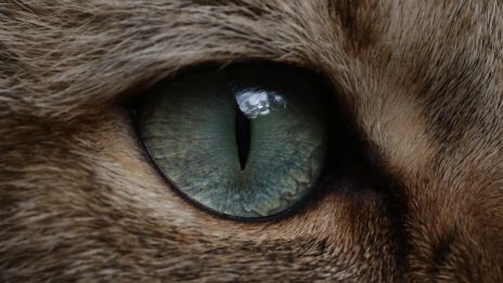 Keď intuícia prehovorí