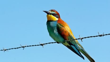 Rovnováha tela a mysle: cesta k skutočnej pohode