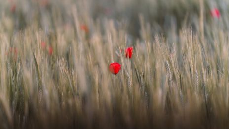 Wellness ako cesta k rovnováhe tela a mysle