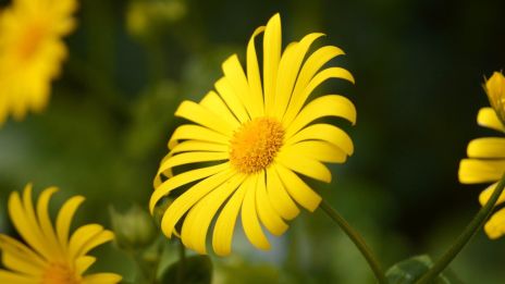 Paranormálne javy: medzi vierou a skúsenosťou