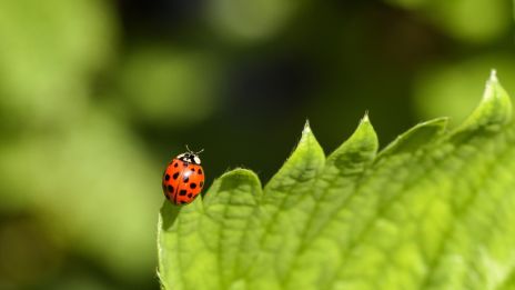 Paranormálne javy medzi svetom a neznámom