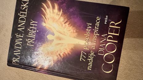 Akášické záznamy,, Kniha duše Akáša”