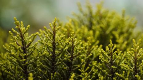 Čarování V přírodě