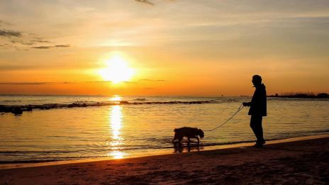 Chůze a bolavé koleno