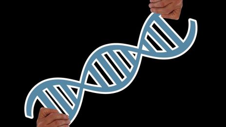 Genetické predispozice