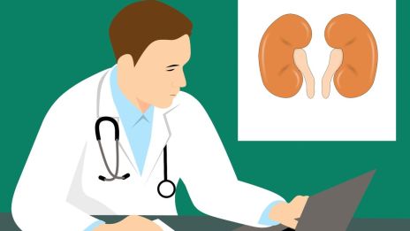 JAK TĚLO VARUJE PŘED NEMOCÍ 1. část