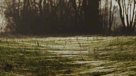 Pravidla čarování V přírodě