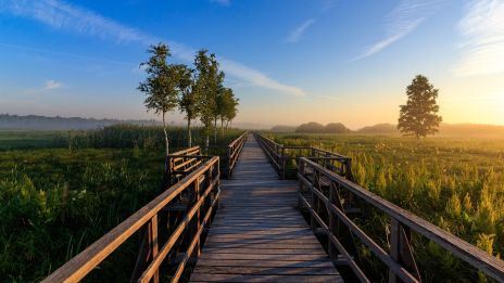 Představte si svůj domov jako starobylý hrad