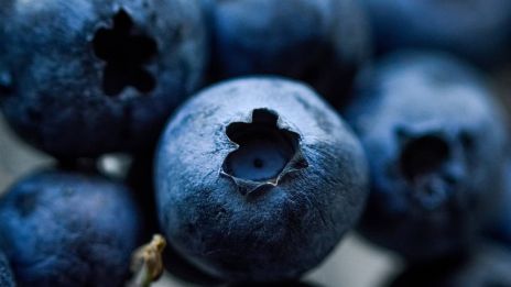 Vitamíny a minerály