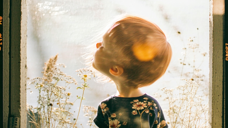 Život každého z nás je nesmírně složitý a plný nejrůznějších vlivů