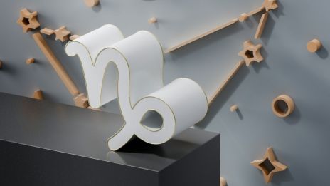 I Stenbockens tecken