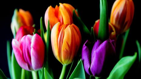 Förändringens Heliga Skifte