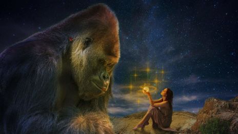 Att tyda det som skrämmer, mörkret som viskar ditt namn