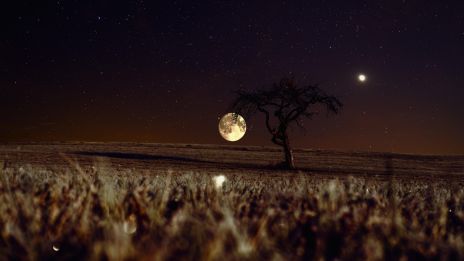 Kärlekens himmelska dans: Venus glider in i Fiskarna