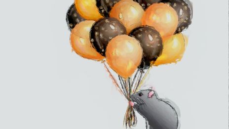 Skyttens stora vägskäl: Att tämja Eldhästen 2026