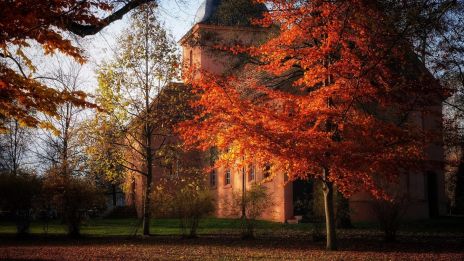 November: Från Skorpionens Djup till Skyttens Eld