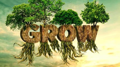 Från oro till tillit – 5 andliga verktyg för att landa i nuet