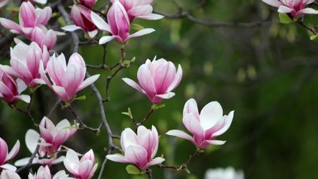 777 – Stjärnornas Tysta Bekräftelse