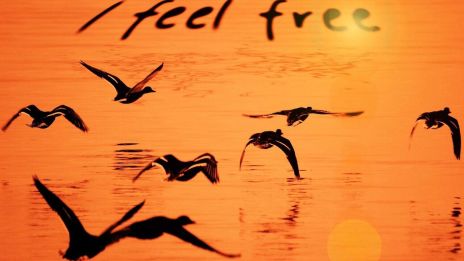 Klipp dina band, du får vara fri nu