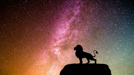 Lejonportalen, eller varje dag som ett mirakel?