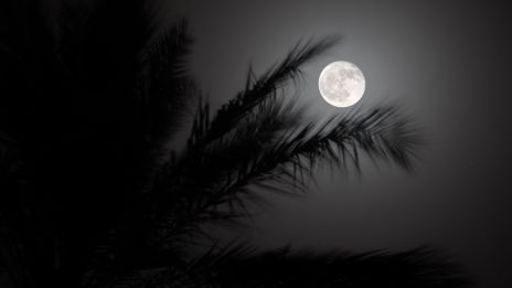 Förberedelse inför fullmåneritualer