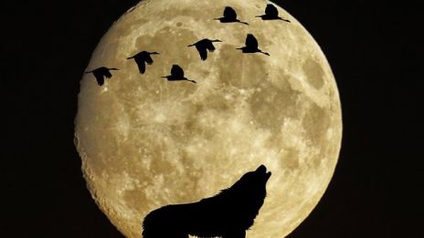 Spådom och månskensmagi