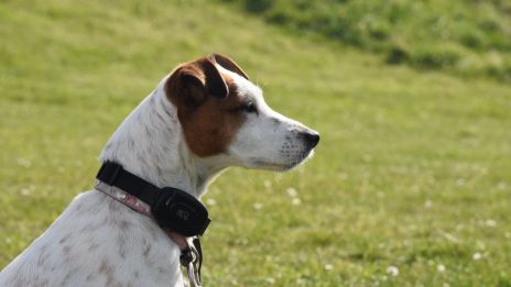 Van e közös jövőm a párommal, aki öt hónapja elhagyott? Három kártya házasság, özvegyasszony, vidámság. . . . 