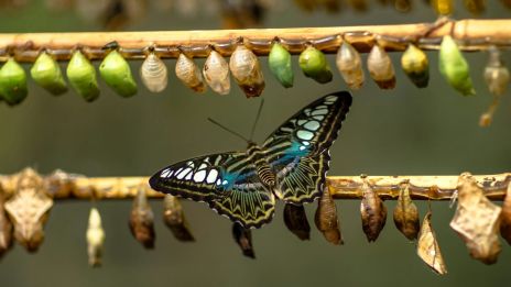 Belül változunk, de kívül minden ugyanaz