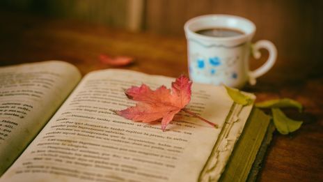 3 lapot húztam ki az új könyvemre, mi lesz vele, befut? Pap, kispénz, szerencsétlenség a három lap!