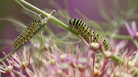 Hidasta niin voit paremmin