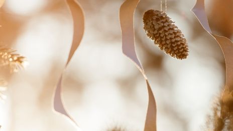 Enää viikko jouluun