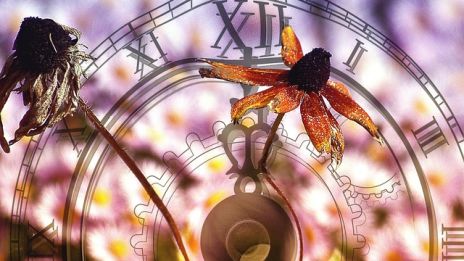 Eteenpäin pettymyksestä