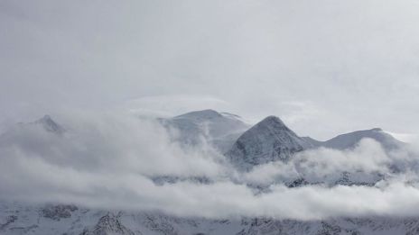 Havaintoja harmaasta