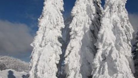 Joulua edeltävä viikko