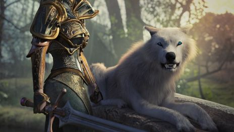 Miekkojen kuningattaren energioissa