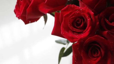 Miksi valitsisin punaisen